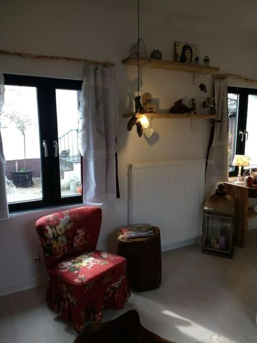 Ferienhaus Mit Minibauernhof مونستر ام هايدكرايس المظهر الخارجي الصورة